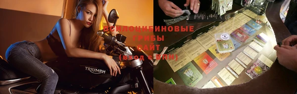 эйфоретик Белокуриха