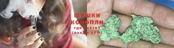 эйфоретик Белокуриха