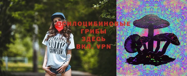 эйфоретик Белокуриха